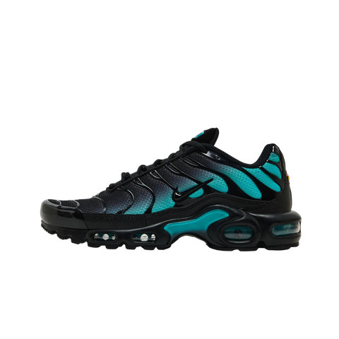 Nike Air Max Plus Black Dusty Cactus