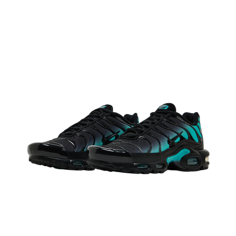 Nike Air Max Plus Black Dusty Cactus