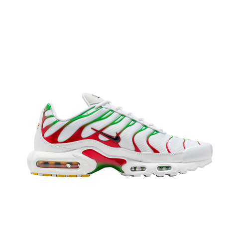 Nike Air Max Plus Italy
