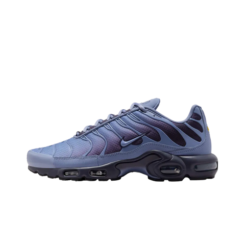 Nike Air Max Plus World Indigo