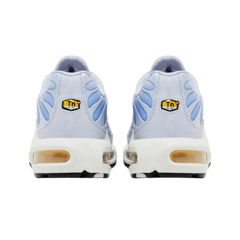 Nike Air Max Plus Daybreak (Women's)