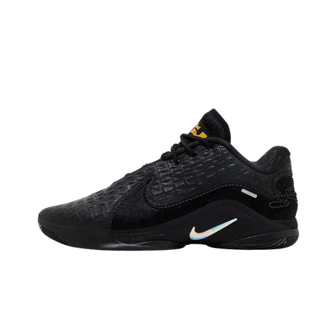 Nike LeBron 22 Black Label