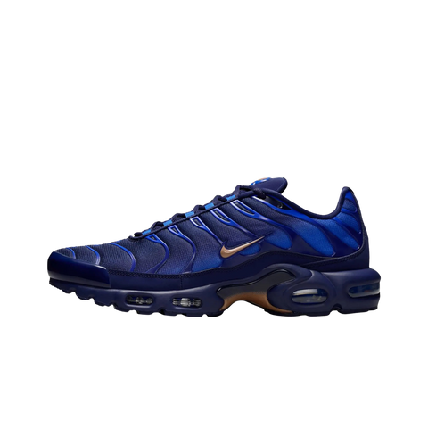 Nike Air Max Plus French Football Federation