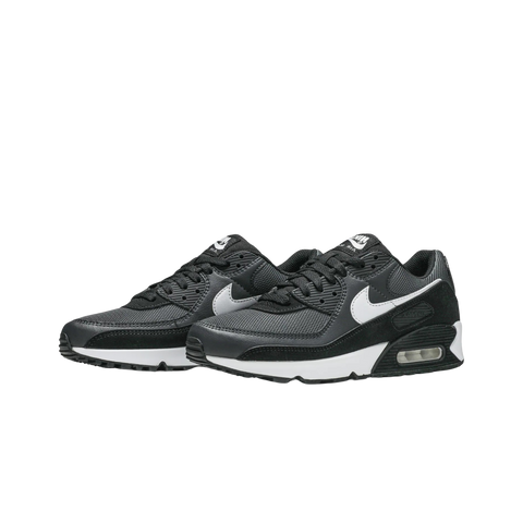 Nike Air Max 90 Iron Grey