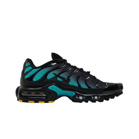 Nike Air Max Plus Black Dusty Cactus