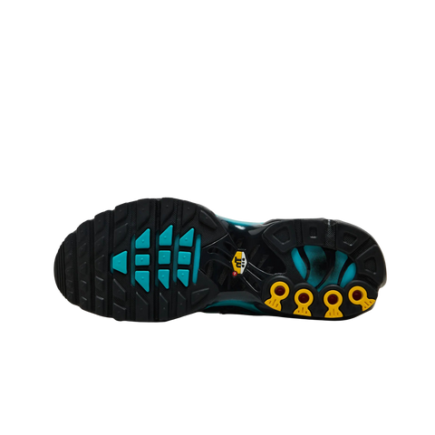 Nike Air Max Plus Black Dusty Cactus