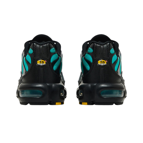 Nike Air Max Plus Black Dusty Cactus