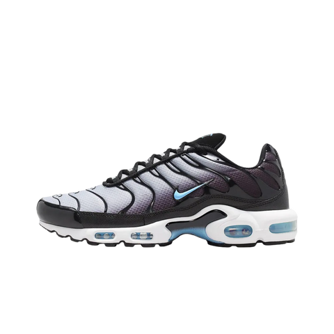 Nike Air Max Plus Black Light Smoke Grey