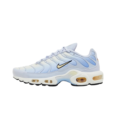 Nike Air Max Plus Daybreak (Women's)