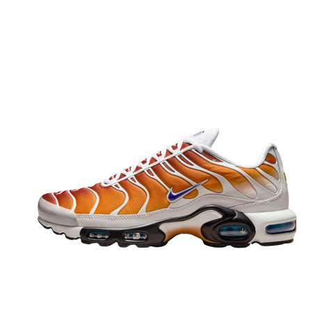 Nike Air Max Plus One Block Down Chutney