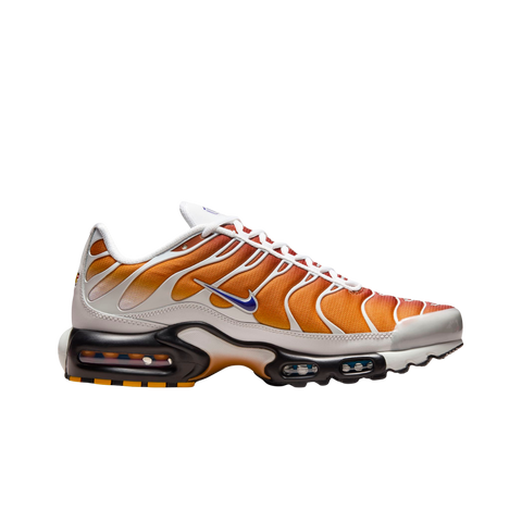 Nike Air Max Plus One Block Down Chutney