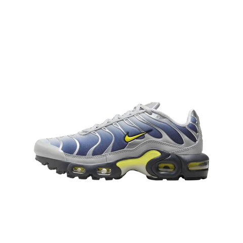Nike Air Max Plus Obsidian Silver (GS)